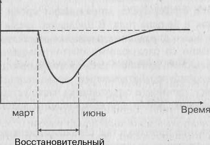 Рис. 18.2. Восстарювление оборота предприятия после страхового случая