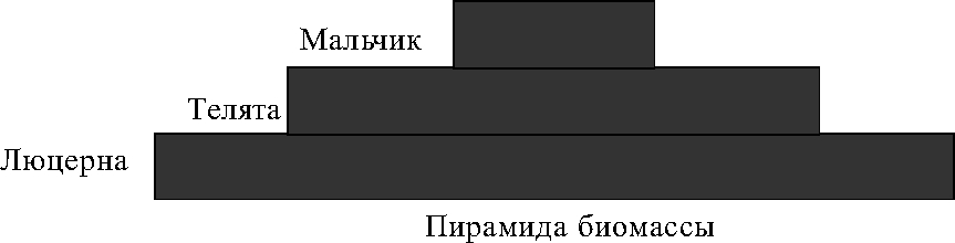 Пирамида чисел