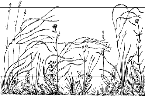 ���. 83. ��������� �������������� ������� ����� (�� �. �. �������, �. �. �������, 1933)