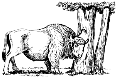 ���. 108. ����, ����������� ������ (�� �. �. �������-����������, �. �. ���������, 1963)