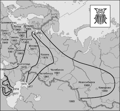Рис. 141. Распространение колорадского жука по территории России (на 1990 г.)
