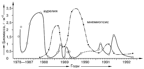 Рис. 143. Колебания биомассы аурелии и мнемиопсиса в глубоководной части Черного моря (в пересчете на углерод, по И. Е. Виноградову и Э. А. Шукшиной , 1993)