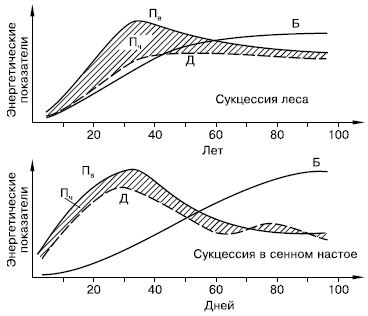 Рис. 157. Изменение энергетических показателей сообществ при развитии соснового леса (вверху) и лабораторной культуры простейших в сенном настое (внизу) (по Ю. Одуму, 1975):Пв – продукция валовая; Д – траты на дыхание; Пч – продукция чистая (заштриховано); Б – биомасса