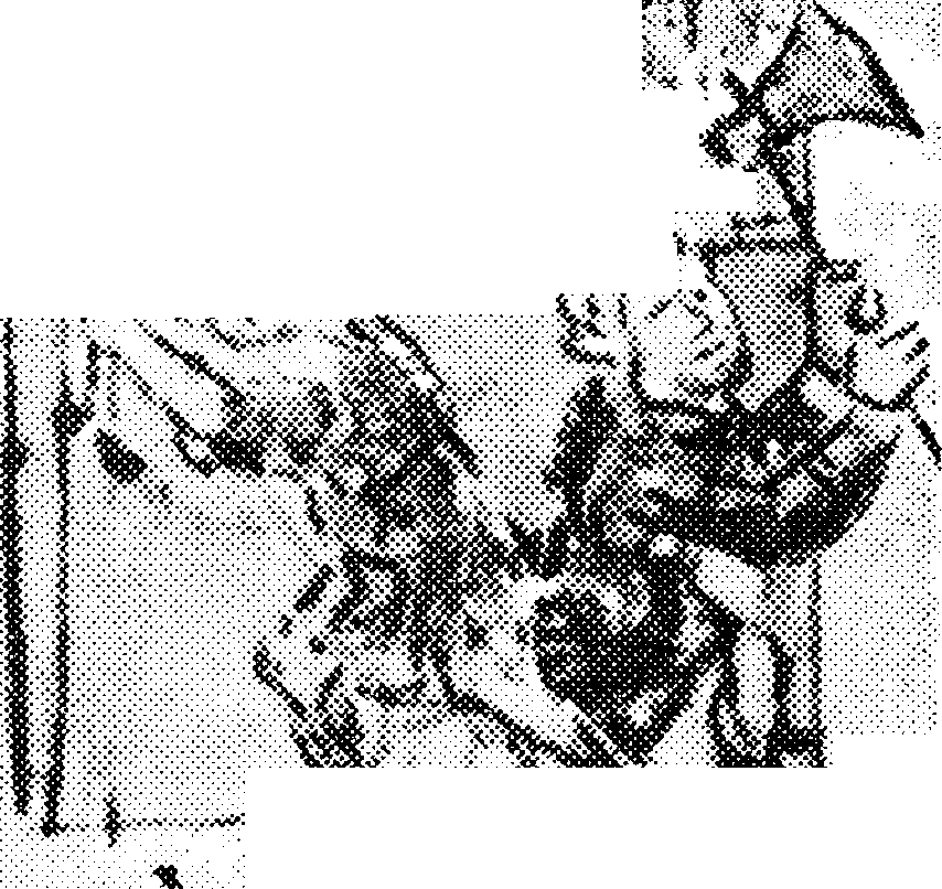 Смерть варяга-христианина и его сына. Миниатюра Радзивиллов- ской летописи.