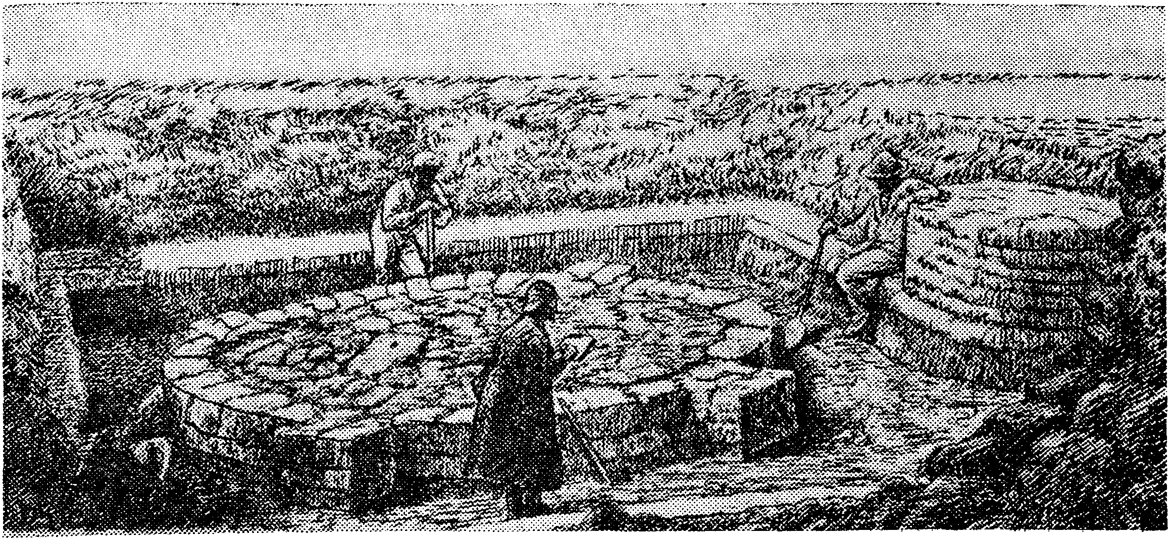 Капище. Раскопки 1908 г. Рисунок В. В. Хвойки.
